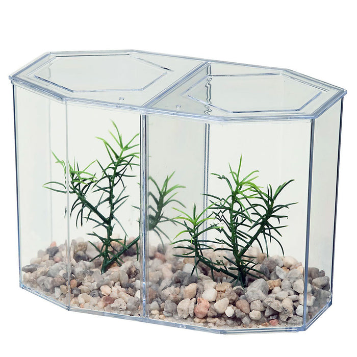 1 Dual Betta Hex Kit Tank Pet Aquatic Fishes Aquarium Habitat Office Home Decor