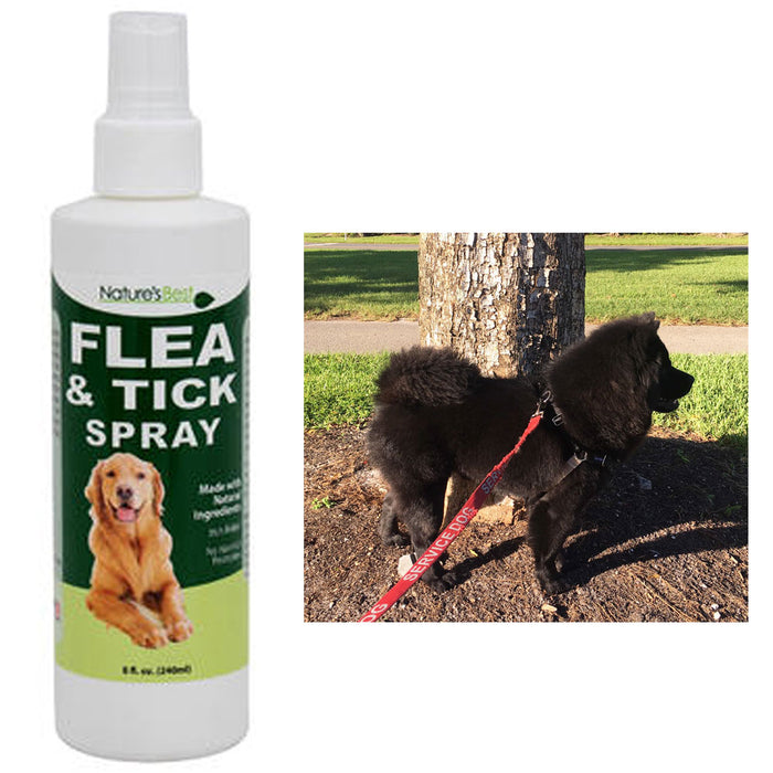 1 Natural Flea Tick Spray Dog Pets Mosquito Control Insect Repellent Relief Itch