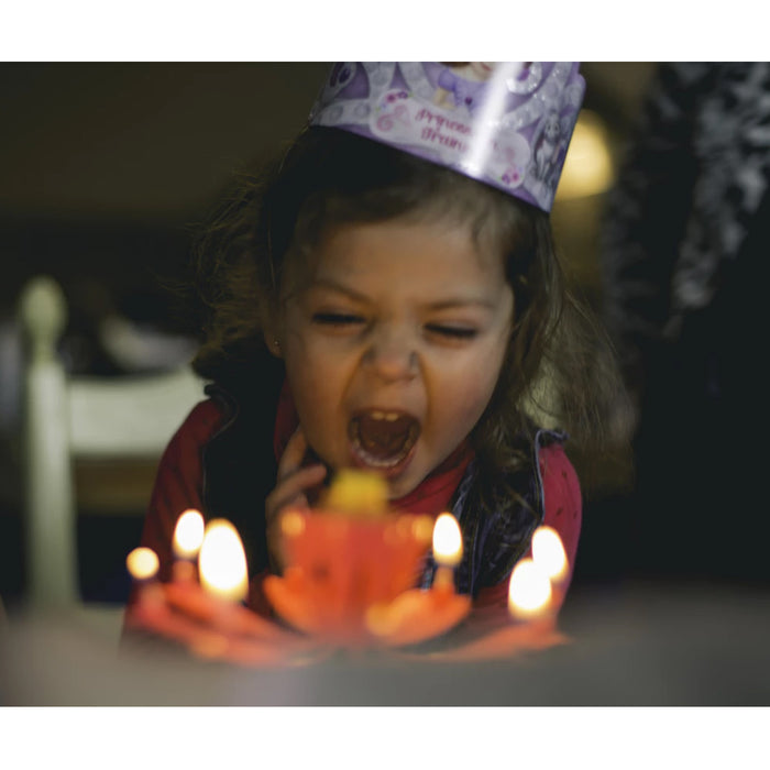 2 Rotating Lotus Musical Flowers Happy Birthday Cake Topper Gift Decor 14 Candle