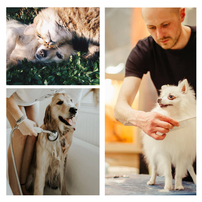 Fine Pet Dog Hair Shedding Grooming Flea Comb Puppy Cat Stainless Pin Brush Tool