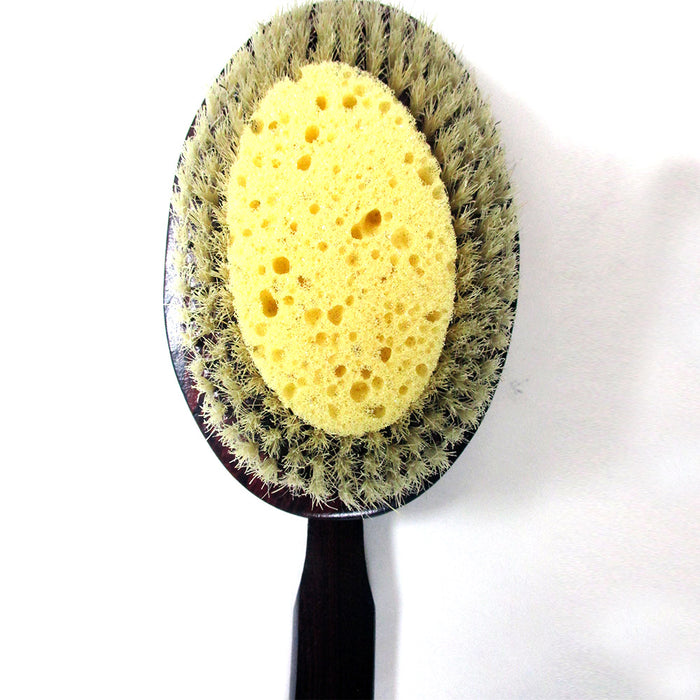 Premium Natural Wooden Body Bath Shower Back Brush Spa Scrubber Sea Sponge New