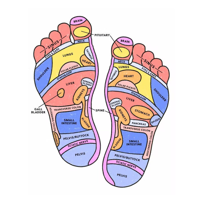 1 Pair Orthotic Premium Shoe Insoles Arch Support Reflexology Insert Pad 9.5"