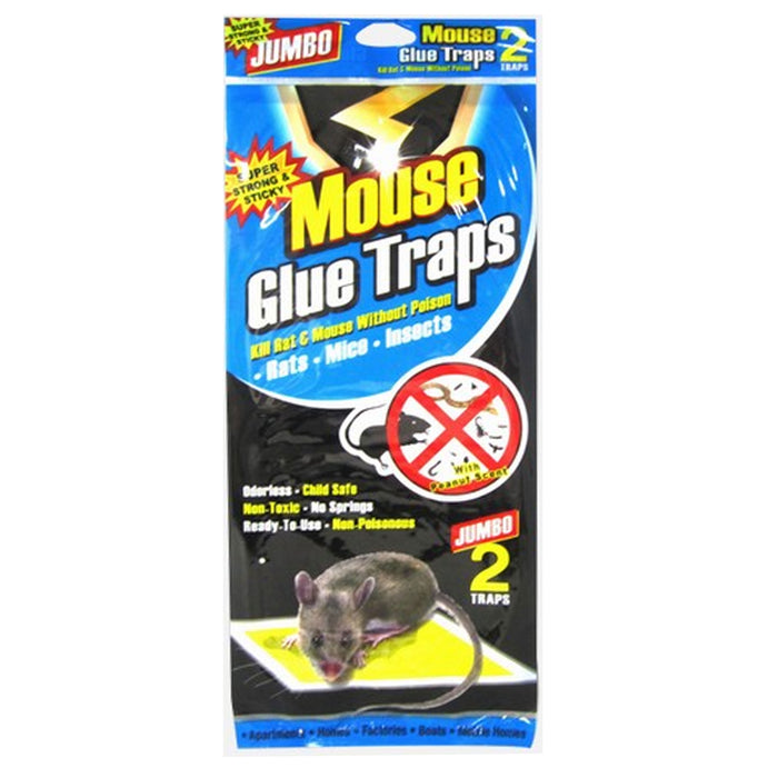 8 Pc Glue Traps Pests Mouse Sticky Mice Insects Boards Trays 12.5" H x 5.75" W