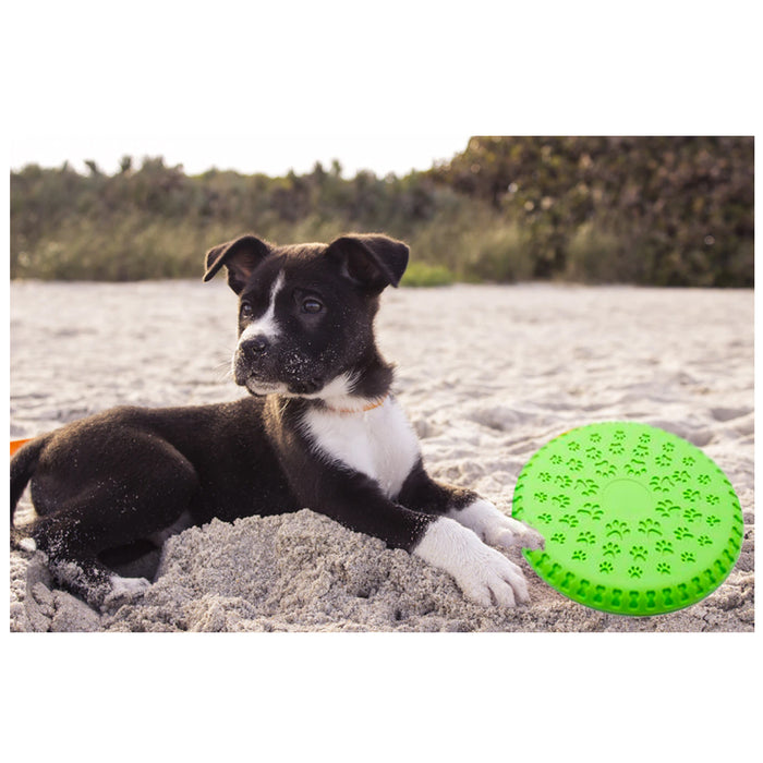 Pet Rubber Flying Disc 9" Catch Dog Fetch Toy Play Exercise Garden