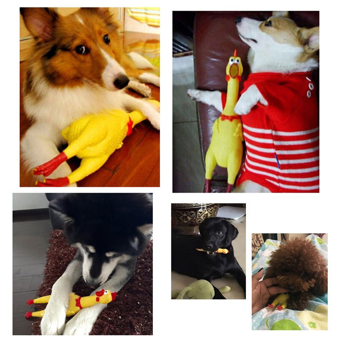 Hilarious 16" Rubber Screaming Chicken Toy Kids Pets Funny Squeaky Chewy Novelty
