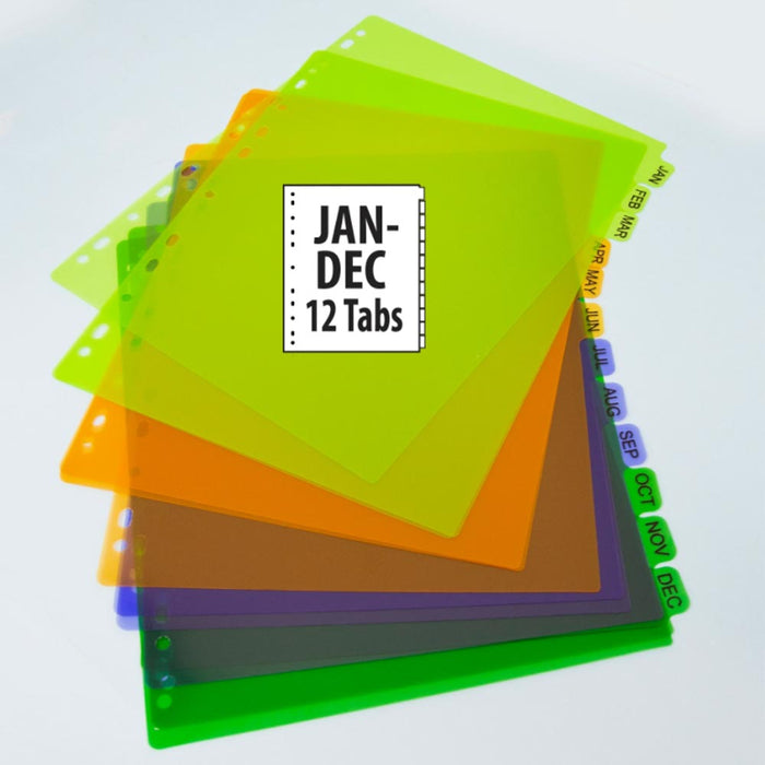 24 Tab Plastic Dividers 12 Preprinted Months Multicolor 11 Rings Binder Index