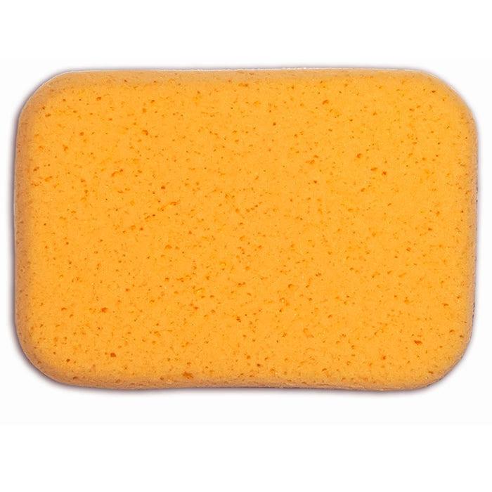 2 Large Car Wash Foam Sponges Extra Absorbent Expanding Compress Auto Cleaning