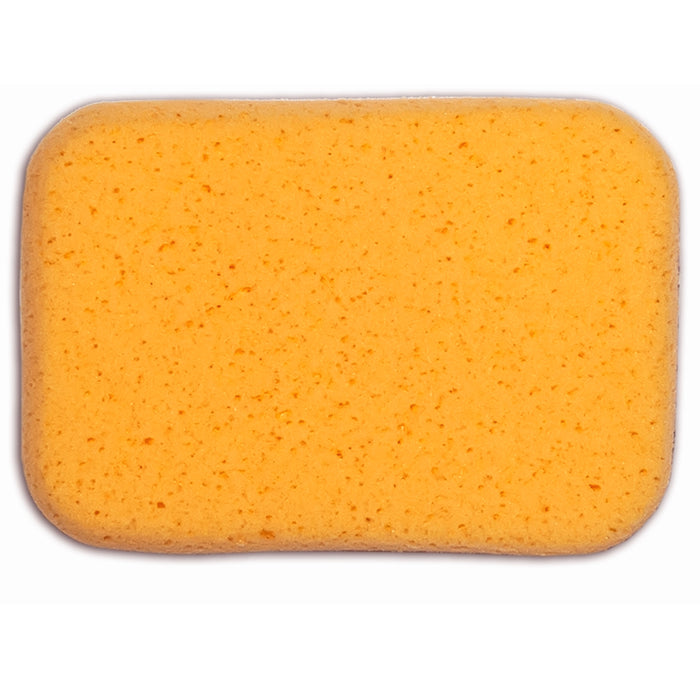 2 Large Car Wash Foam Sponges Extra Absorbent Expanding Compress Auto Cleaning