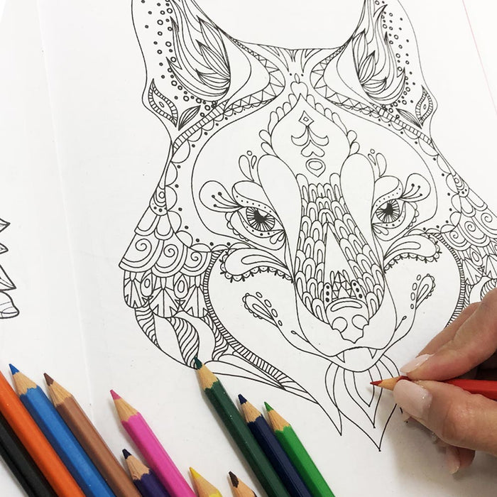 4 Mandala Adult Coloring Books Stress Relieving Meditation Art Designs Animals