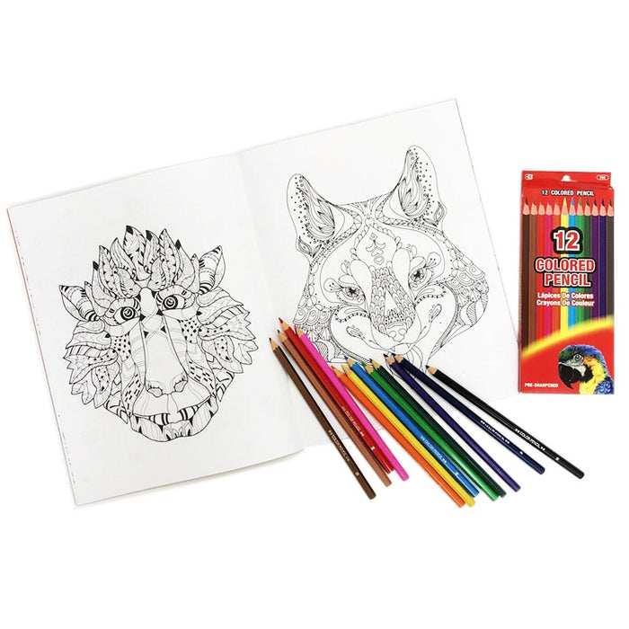 13PC Adult Coloring Book Set Colored Pencil Mandala Design Stress Relieving Calm
