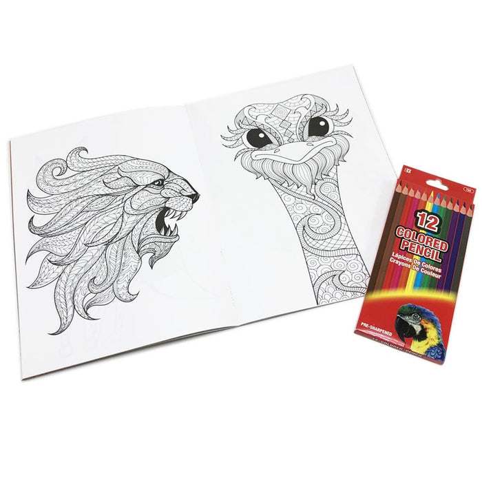 13PC Adult Coloring Book Set Colored Pencil Mandala Design Stress Relieving Calm