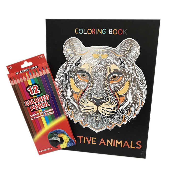 13PC Adult Coloring Book Set Colored Pencil Mandala Design Stress Relieving Calm