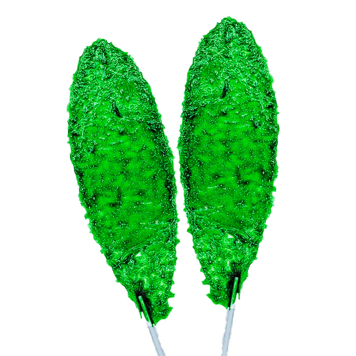 40 Pc Mexican Paletas Lollipops Slaps Green Apple Manzana Flavor Cachetadas Pops