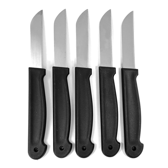 10 Paring Knife Set 6 5/8 In Stainless Steel Knife Sharp Fruit Vegetable Kitchen