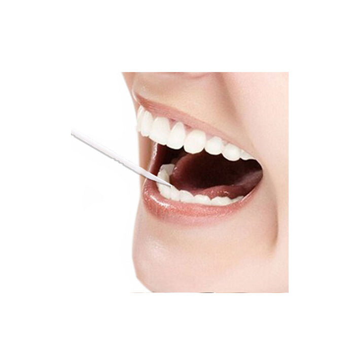 500 Ct Toothpicks Braces Brush Picks Interdental Bristles Floss Oral Care Teeth