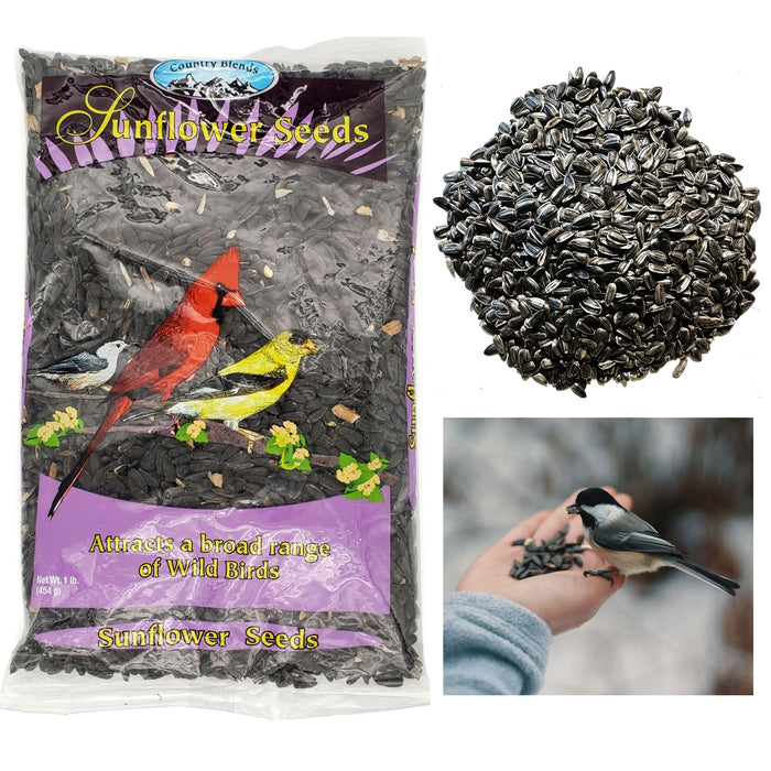1lb Black Oil Sunflower Seed Wild Bird Feed Food Attract Birds Protein Nutrition