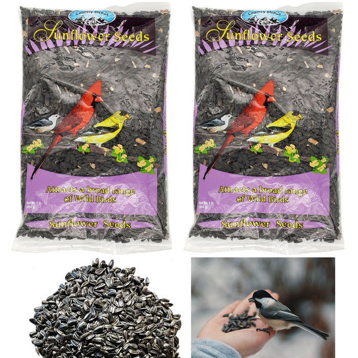 2 Bags Wild Bird Black Oil Sunflower Seeds Food Protein Nutrition Attract Birds