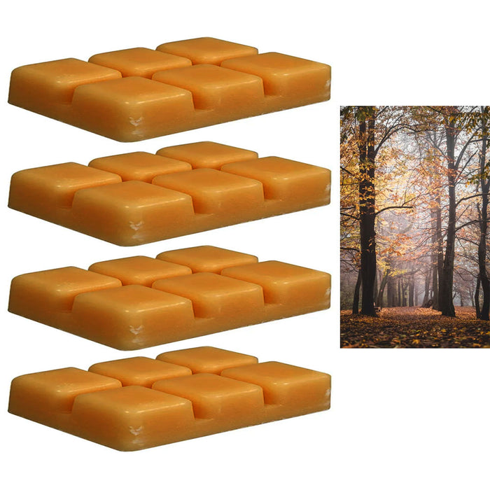 4 Packs Cube Wax Melts Tarts Wooded Path Scented Candle Warmers Fragrance 2.3oz