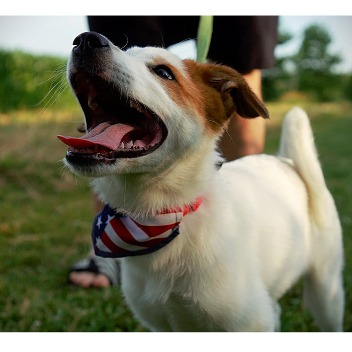 48 PC American Flag Bandanas Headband USA Flag Patriotic Head Wrap Scarf BULK