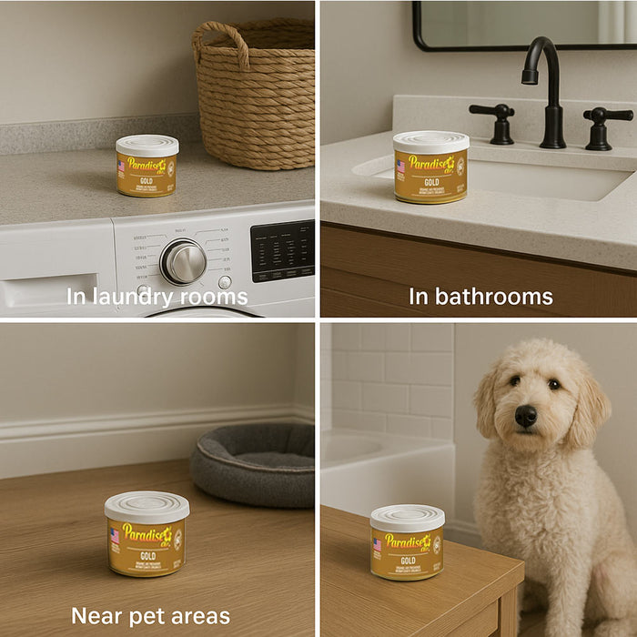 1 Paradise Organic Air Freshener Gold Scent Fiber Can Home Fragrance Car Aroma