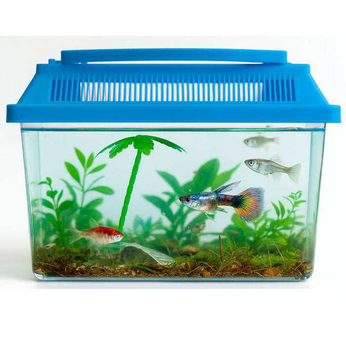 Aquarium Starter Kit Fish Tank Carrier Reptile Turtle Frog Terrarium 0.3 Gallon