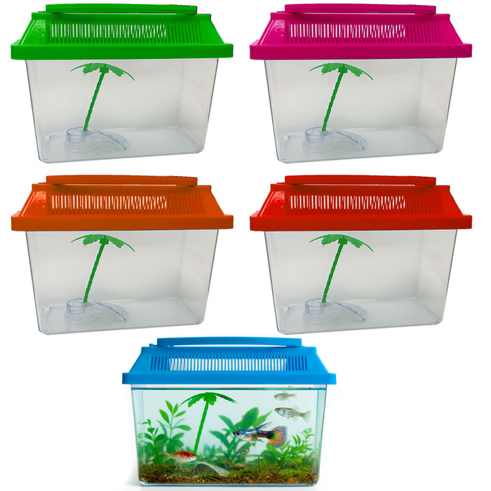 Aquarium Starter Kit Fish Tank Carrier Reptile Turtle Frog Terrarium 0.3 Gallon