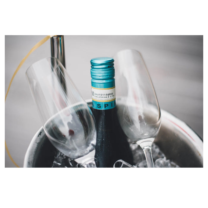 Stainless Steel Ice Bucket 40 oz Mini Cooler Drink Champagne Wine Bar Restaurant