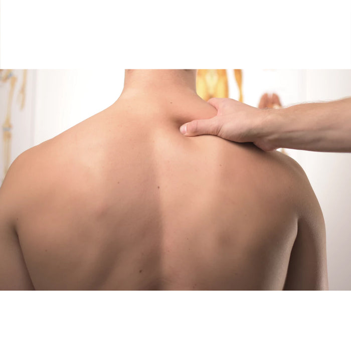 3 Packs Extra Strength Muscle Rub Pain Relief Gel 1.25 oz (35g) Non-Greasy Cream