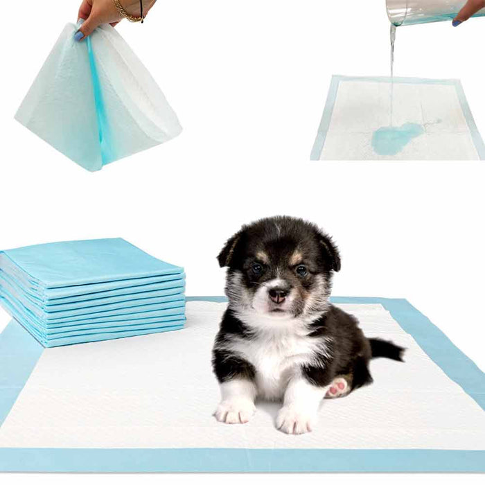 9 Pet Training Pads Heavy Dog Puppy Pee Housebreaking Underpads Floor Protection