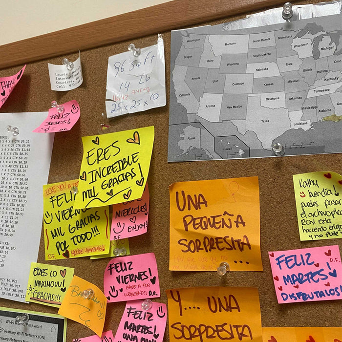 300 Pcs Push Pin Thumb Tacks Office Pushpin Drawing Cork Board Steel Point Clear