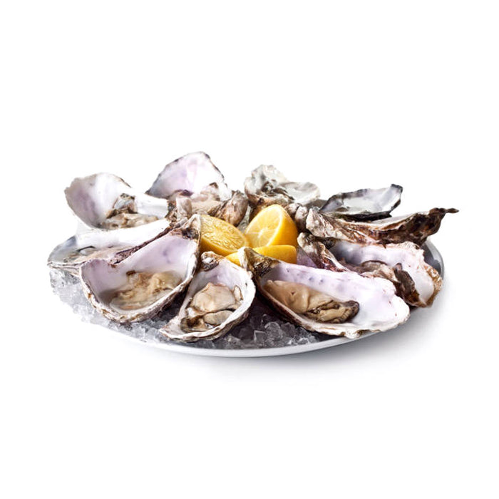 Stainless Steel Oyster Knife Non Slip Handle Shucker Oyster Seafood Opener Tool