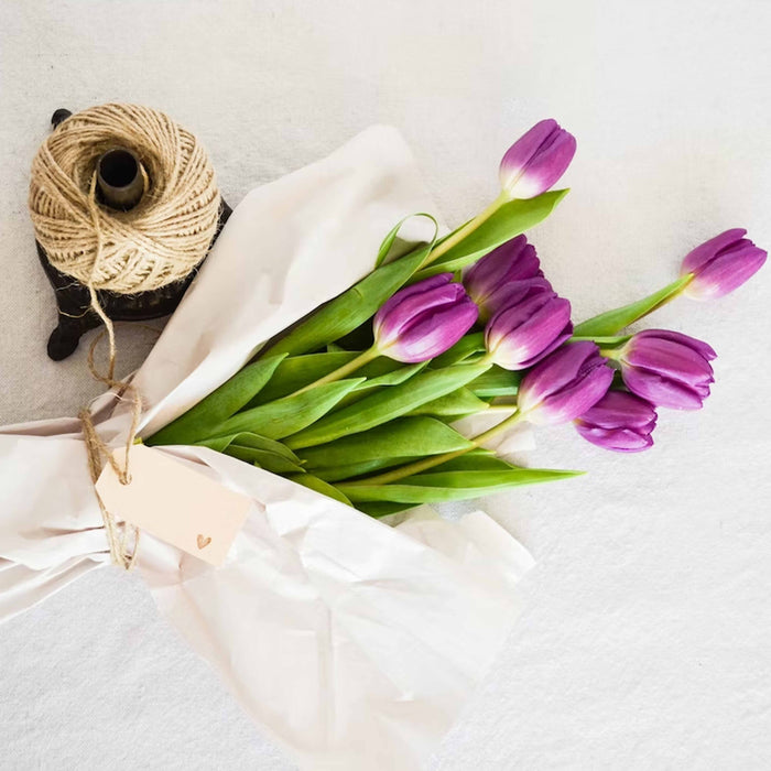 4 Rolls Premium All Natural Jute Twine Twisted Rope String Bird Toys Craft Decor
