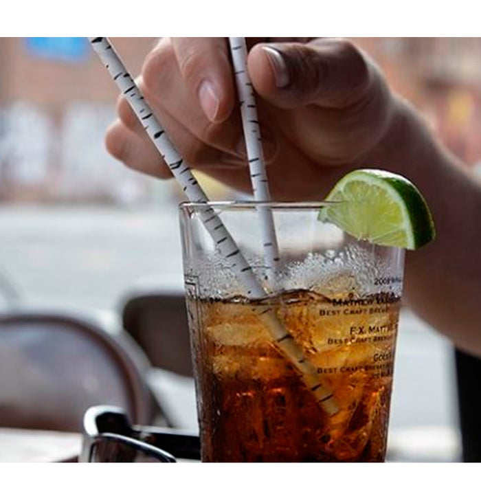 Box 144 Kikkerland Birch Paper Straw Biodegradable Birthday Party Shower Wedding