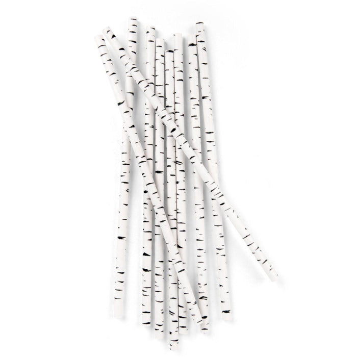 Box 144 Kikkerland Birch Paper Straw Biodegradable Birthday Party Shower Wedding