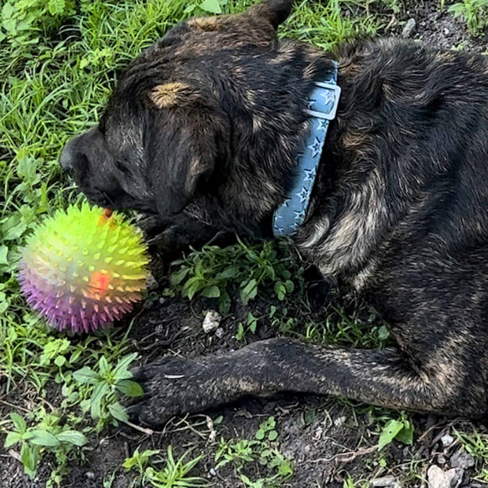 4 Pc Dog Toy Spike Balls Squeaky Flashing LED Light Up Bounce Pets Cat Large 5"