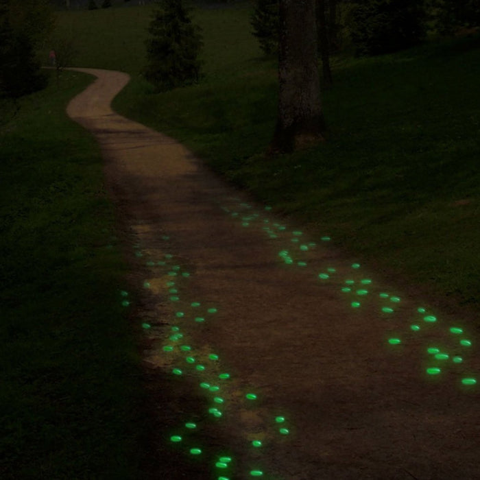 100 PCS Glow in The Dark Pebbles Glowing Rocks Fish Tank Garden Luminous