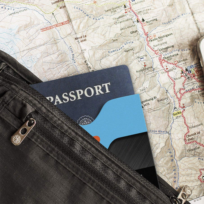 3 RFID Blocking Sleeves Identity Theft Cards Protector Passport Lewis N Clark