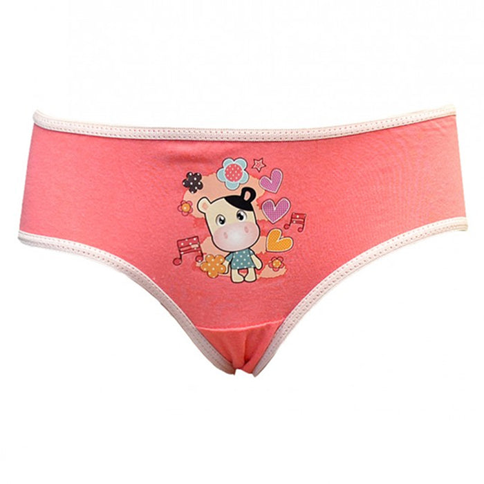 12 Pack Girls Cotton Underwear Breathable Comfort Panty Briefs Toddler Undies S