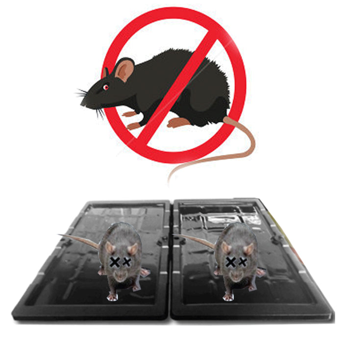 2 Glue Sticky Traps Rat Mice Snake Rodent Peanut Scent Disposable Tray 8" x 4.5"