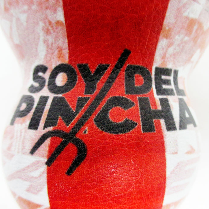 Copa Argentina Libertadores Estudiantes de la Plata Pincha MATE Gourd Glass Bombilla Straw Kit 6246