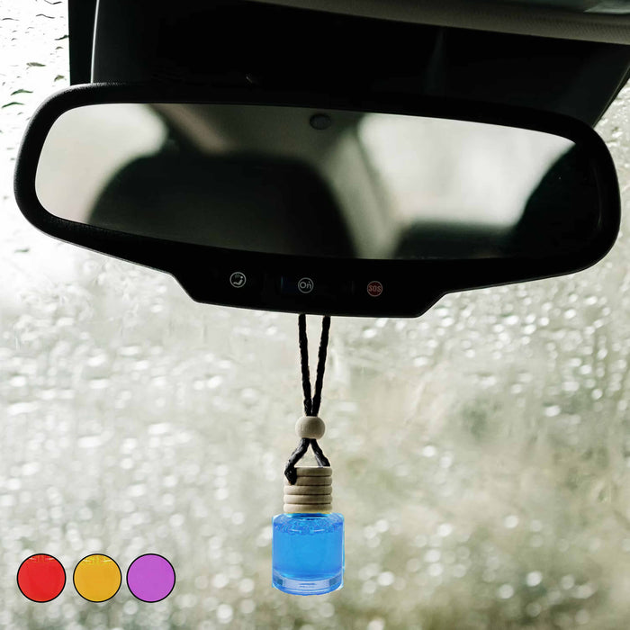 4 Pc Concentrated Fragrance Hanging Car Air Freshener Diffuser Home Long Lasting
