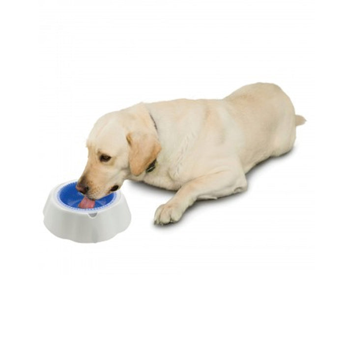 Frosty Pet Dog Bowl Stays Cool for 8 Hour Dog Drinking Dish Ice Water Summer Hot