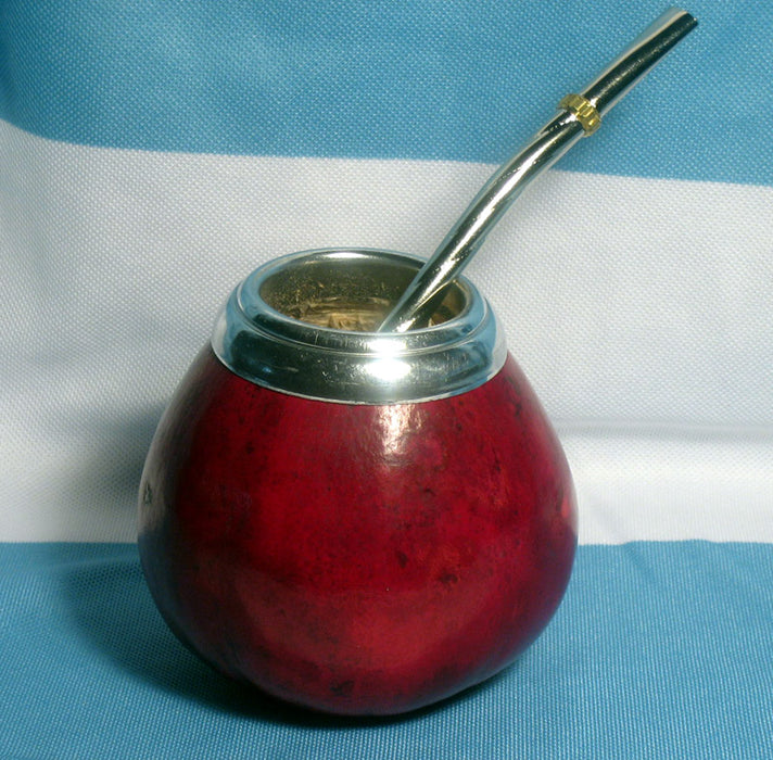 Mate Gourd Set Yerba Tea Cup W/ Bombilla Straw Argentina Silver Artisan Handmade