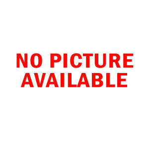 TELESPY TELEPHONE MOTION SENSOR ALARM SECURITY INTRUDER