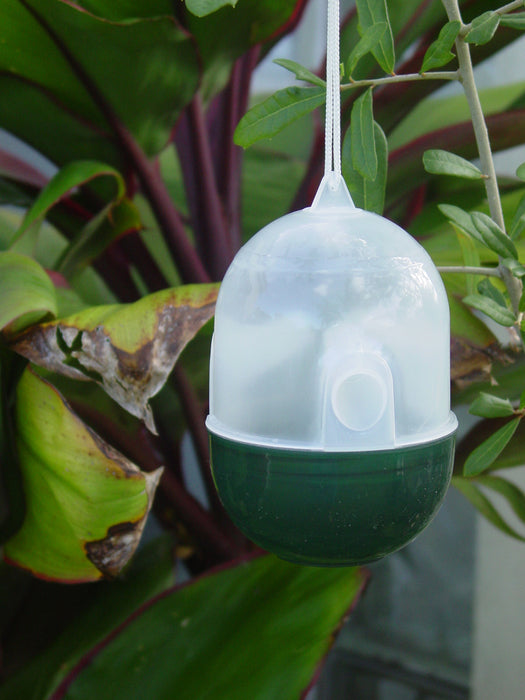 4 Pcs Wasp Nest Decoy Hanging Fake Wasp Nest Wasp Deterrent for Wasps Hornet